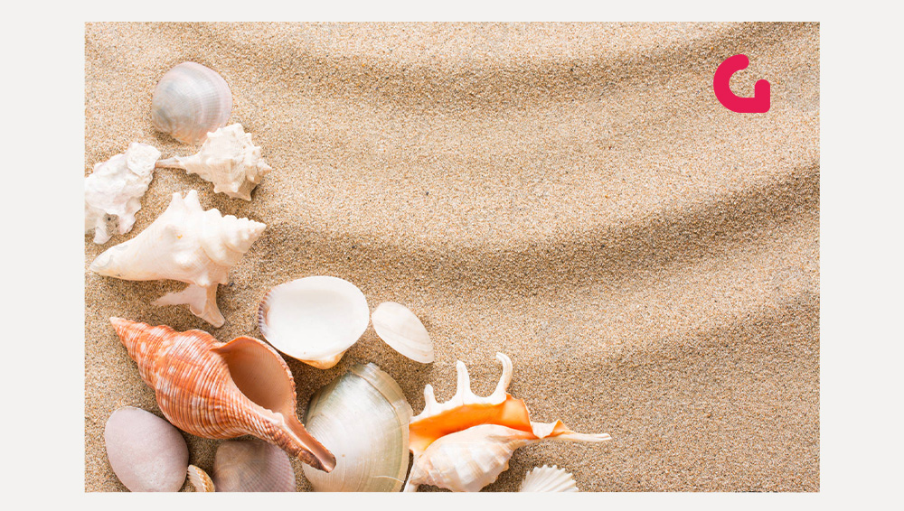 Galledia-Sommergruess-2024-Medienunternehmen-galledia-group-ag