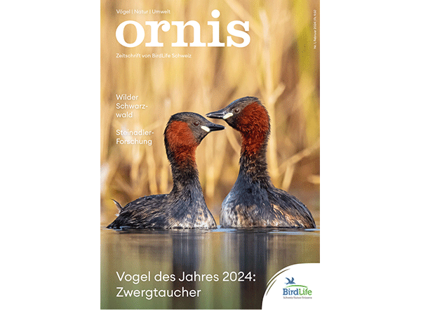 Cover Ornis